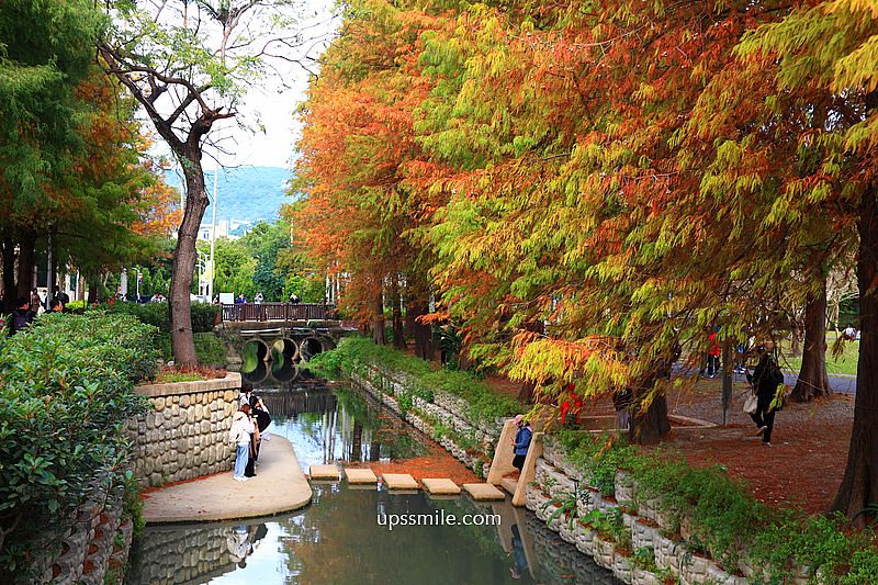 士林官邸落羽松2026，台北落羽松推薦，士林官邸交通