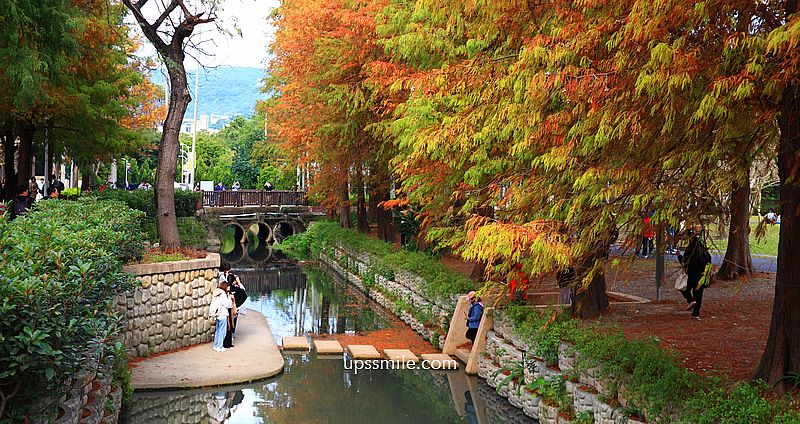 網站近期文章：士林官邸落羽松2026，台北落羽松推薦，士林官邸交通