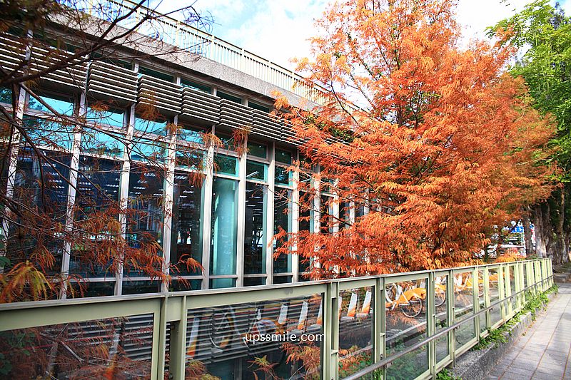 士林官邸落羽松2026，台北落羽松推薦，士林官邸交通