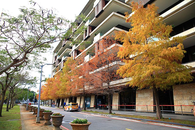 士林官邸落羽松2026，台北落羽松推薦，士林官邸交通