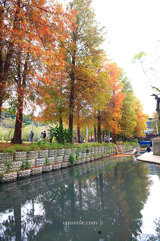 士林官邸落羽松2026，台北落羽松推薦，士林官邸交通