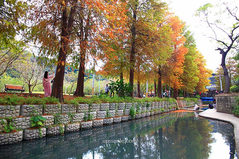 士林官邸落羽松2026，台北落羽松推薦，士林官邸交通