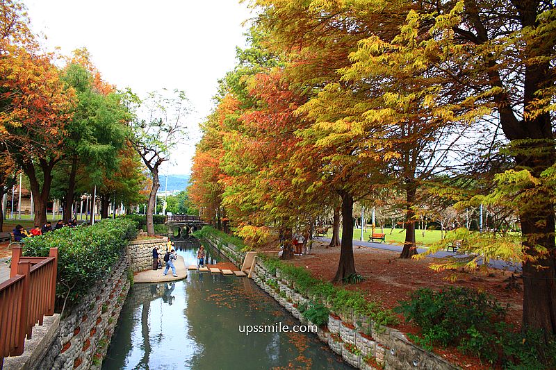 士林官邸落羽松2026，台北落羽松推薦，士林官邸交通