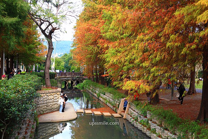 士林官邸落羽松2026，台北落羽松推薦，士林官邸交通