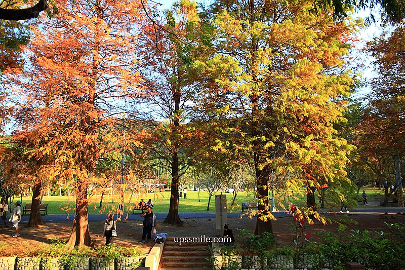 士林官邸落羽松2026，台北落羽松推薦，士林官邸交通