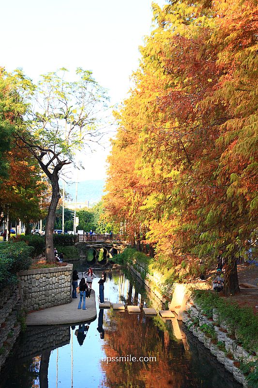 士林官邸落羽松2026，台北落羽松推薦，士林官邸交通