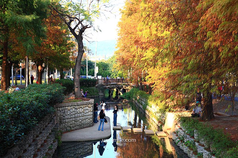 士林官邸落羽松2026，台北落羽松推薦，士林官邸交通