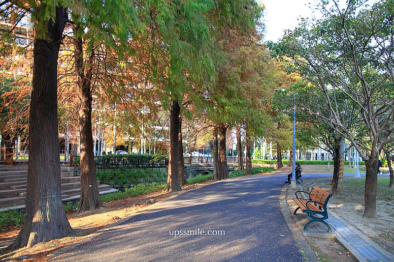 士林官邸落羽松2026，台北落羽松推薦，士林官邸交通