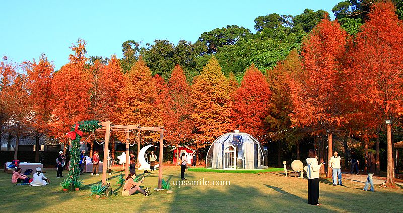 網站近期文章：青青食尚花園會館落羽松，台北落羽松秘境2026，士林婚宴會館落羽松推薦