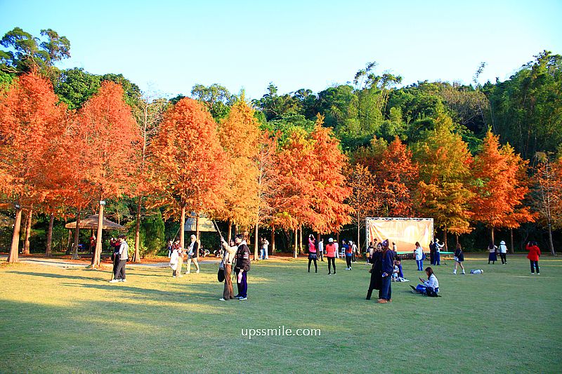 青青食尚花園會館落羽松，台北落羽松秘境2026，士林婚宴會館落羽松推薦