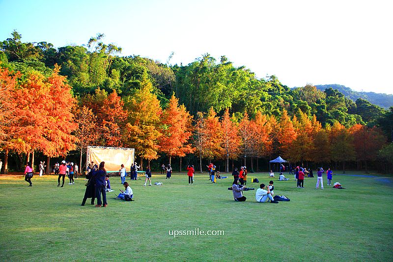 青青食尚花園會館落羽松，台北落羽松秘境2026，士林婚宴會館落羽松推薦