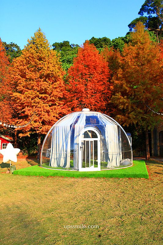 青青食尚花園會館落羽松，台北落羽松秘境2026，士林婚宴會館落羽松推薦