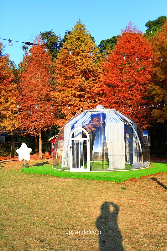 青青食尚花園會館落羽松，台北落羽松秘境2026，士林婚宴會館落羽松推薦