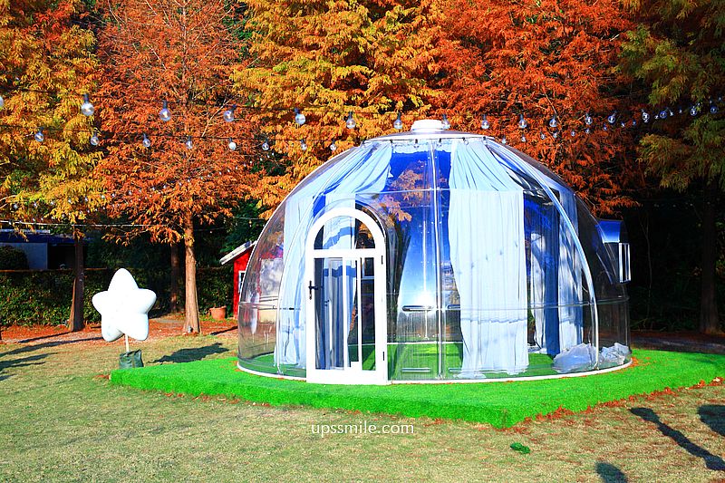 青青食尚花園會館落羽松，台北落羽松秘境2026，士林婚宴會館落羽松推薦