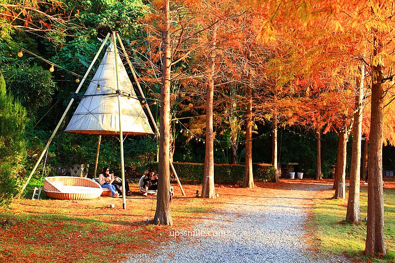 青青食尚花園會館落羽松，台北落羽松秘境2026，士林婚宴會館落羽松推薦