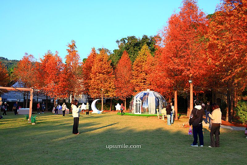 青青食尚花園會館落羽松，台北落羽松秘境2026，士林婚宴會館落羽松推薦