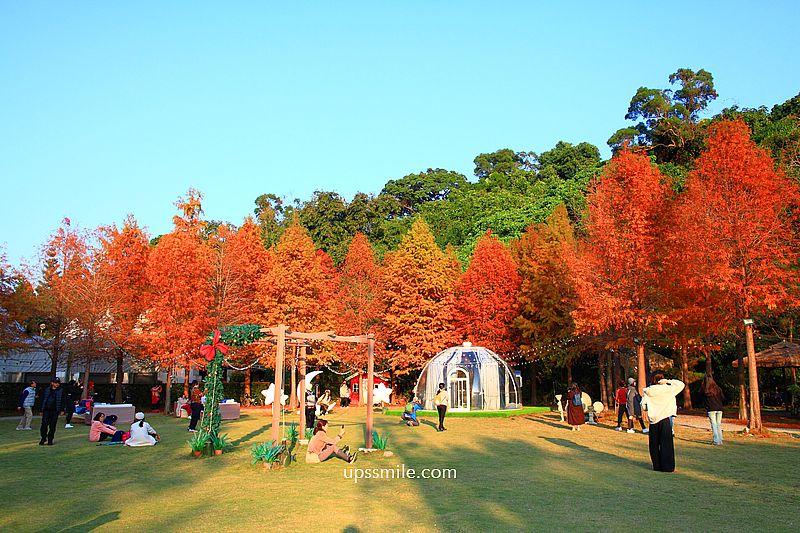 青青食尚花園會館落羽松，台北落羽松秘境2026，士林婚宴會館落羽松推薦