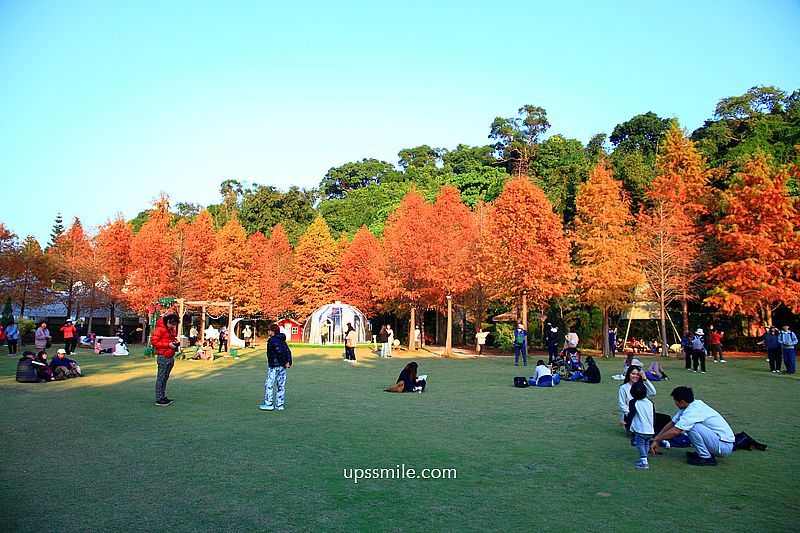 青青食尚花園會館落羽松，台北落羽松秘境2026，士林婚宴會館落羽松推薦