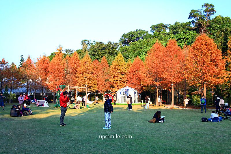 青青食尚花園會館落羽松，台北落羽松秘境2026，士林婚宴會館落羽松推薦