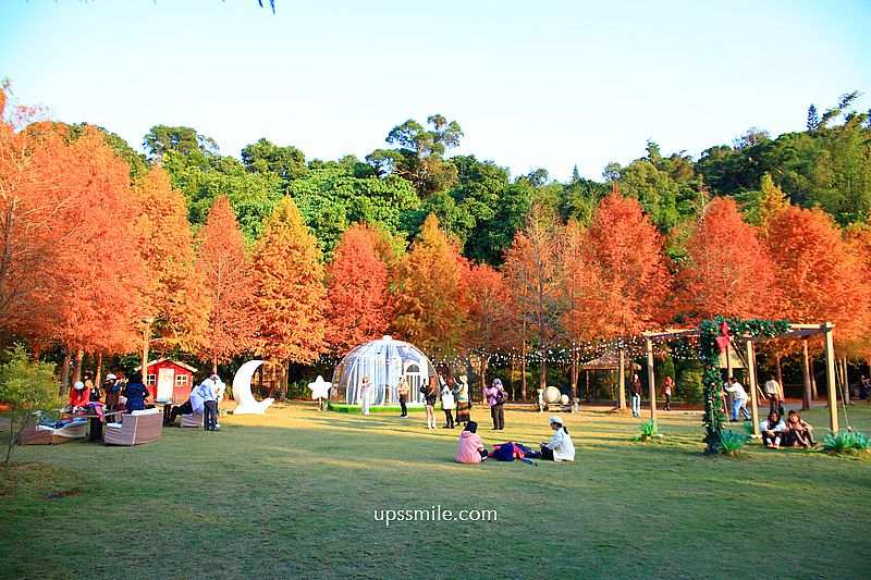 青青食尚花園會館落羽松，台北落羽松秘境2026，士林婚宴會館落羽松推薦