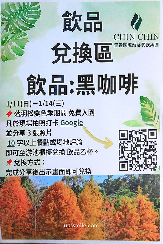 青青食尚花園會館落羽松，台北落羽松秘境2026，士林婚宴會館落羽松推薦