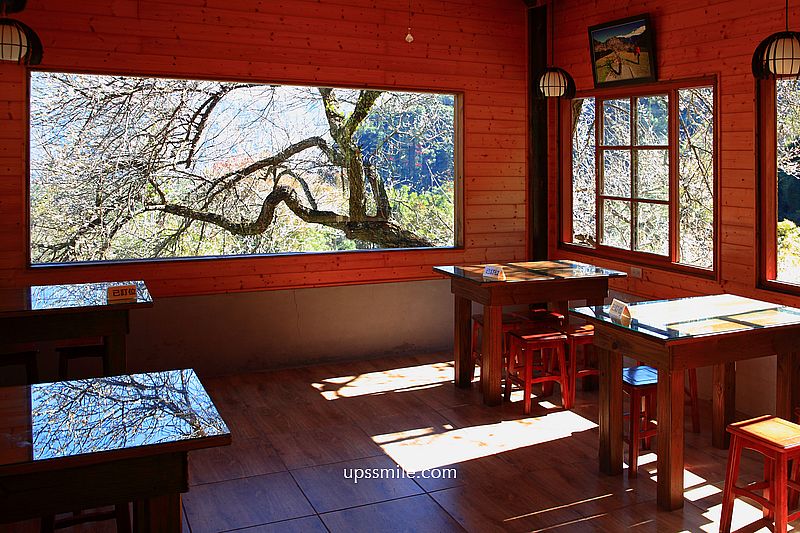 南投梅花推薦【牛稠坑驛站】南投信義鄉梅花秘境，台版琉璃光院