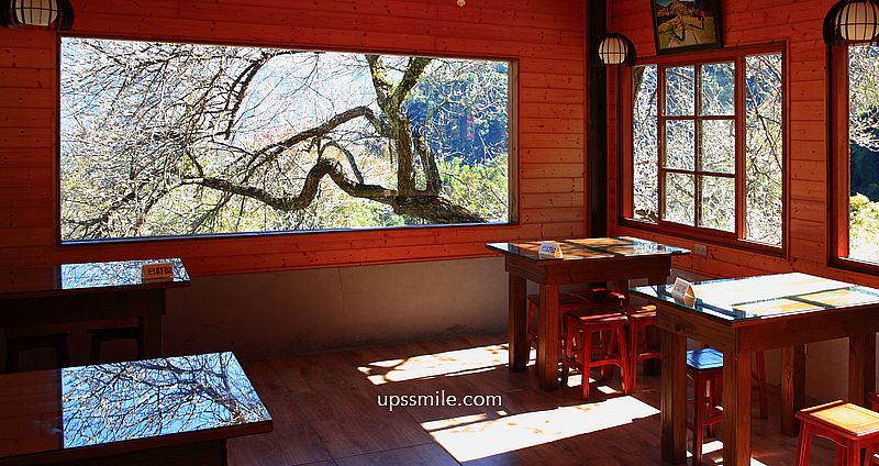 網站近期文章：南投梅花推薦【牛稠坑驛站】南投信義鄉梅花秘境，台版琉璃光院