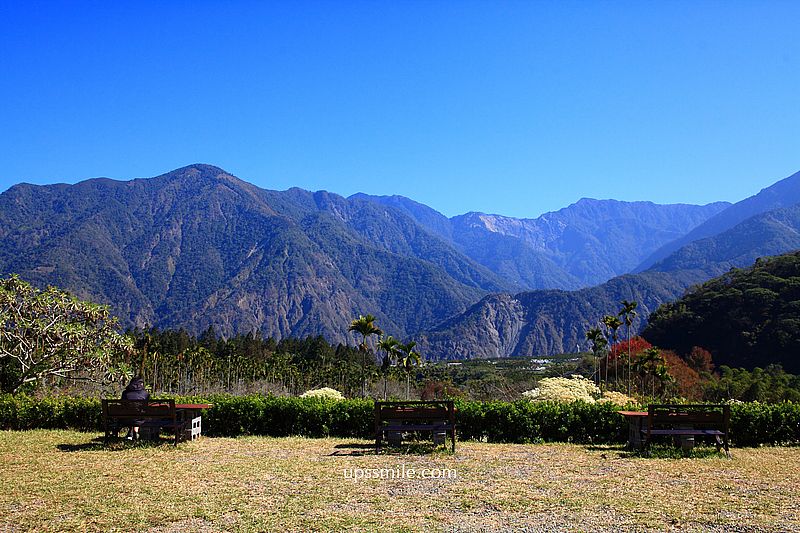 南投梅花推薦【牛稠坑驛站】南投信義鄉梅花秘境，台版琉璃光院