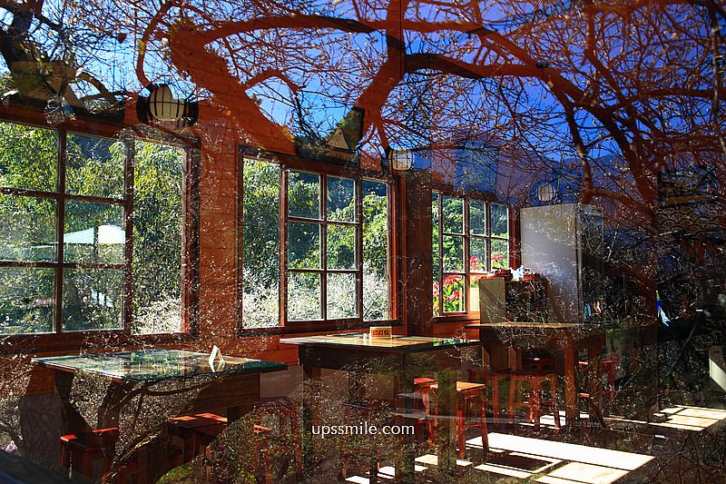 南投梅花推薦【牛稠坑驛站】南投信義鄉梅花秘境，台版琉璃光院