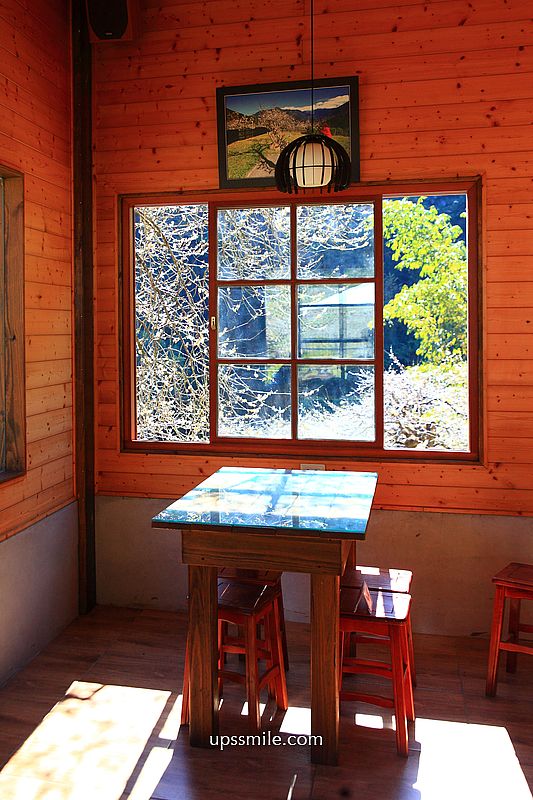 南投梅花推薦【牛稠坑驛站】南投信義鄉梅花秘境，台版琉璃光院