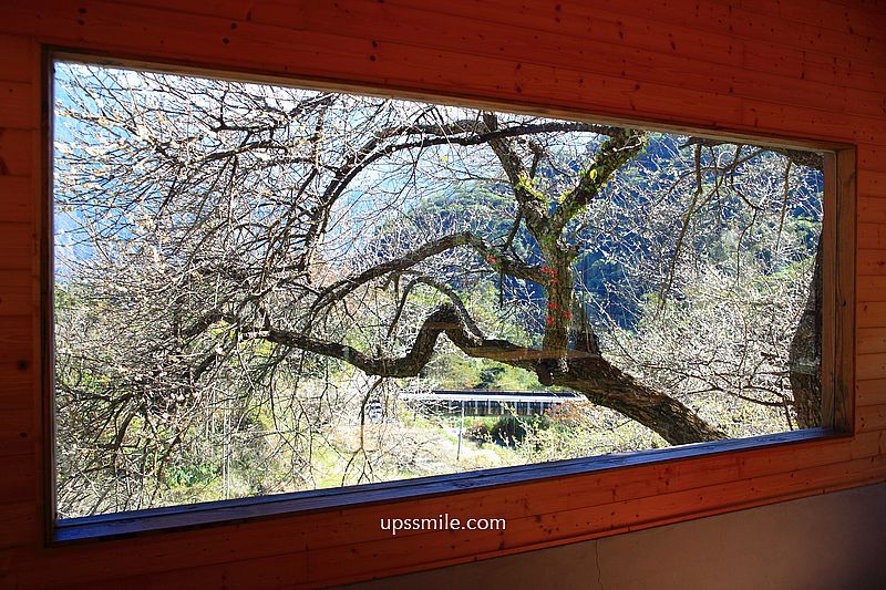 南投梅花推薦【牛稠坑驛站】南投信義鄉梅花秘境，台版琉璃光院