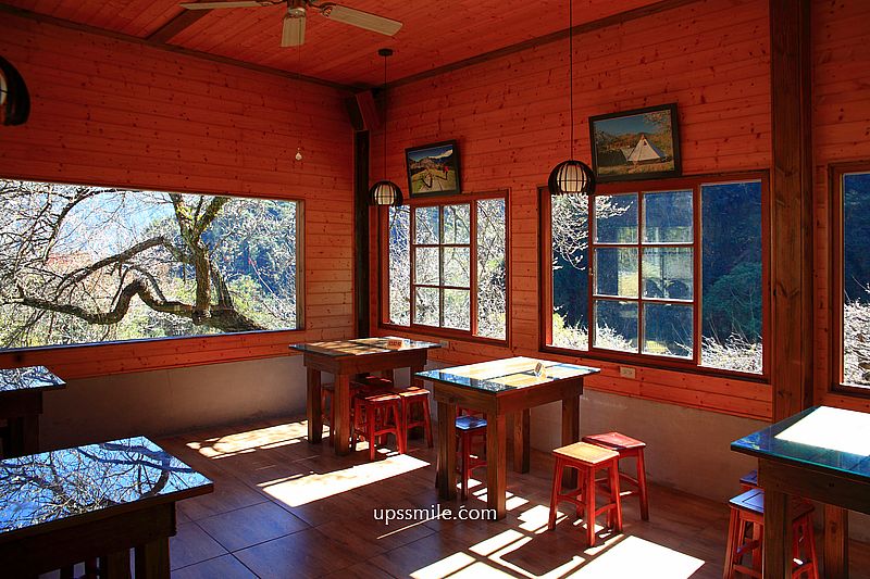 南投梅花推薦【牛稠坑驛站】南投信義鄉梅花秘境，台版琉璃光院