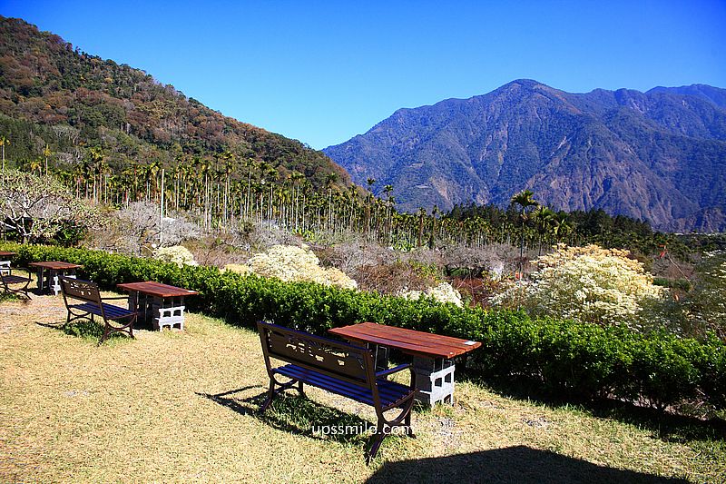 南投梅花推薦【牛稠坑驛站】南投信義鄉梅花秘境，台版琉璃光院