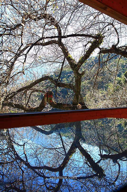 南投梅花推薦【牛稠坑驛站】南投信義鄉梅花秘境，台版琉璃光院