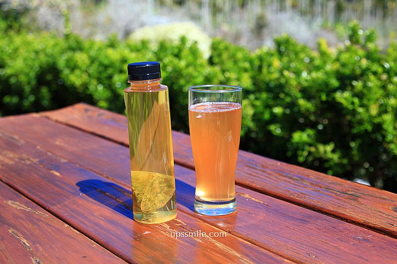 南投梅花推薦【牛稠坑驛站】南投信義鄉梅花秘境，台版琉璃光院