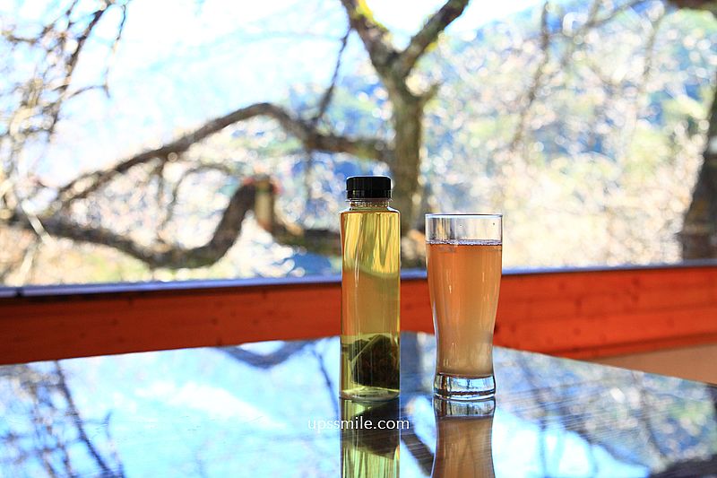 南投梅花推薦【牛稠坑驛站】南投信義鄉梅花秘境，台版琉璃光院