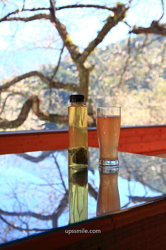 南投梅花推薦【牛稠坑驛站】南投信義鄉梅花秘境，台版琉璃光院