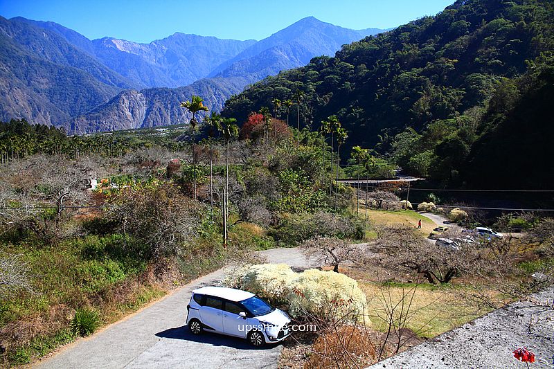 南投梅花推薦【牛稠坑驛站】南投信義鄉梅花秘境，台版琉璃光院
