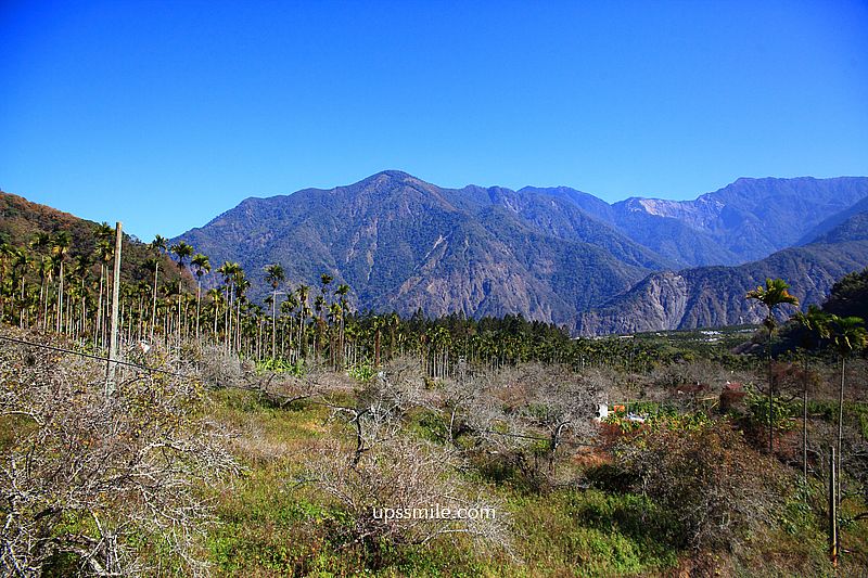 南投梅花推薦【牛稠坑驛站】南投信義鄉梅花秘境，台版琉璃光院