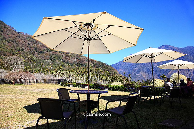 南投梅花推薦【牛稠坑驛站】南投信義鄉梅花秘境，台版琉璃光院