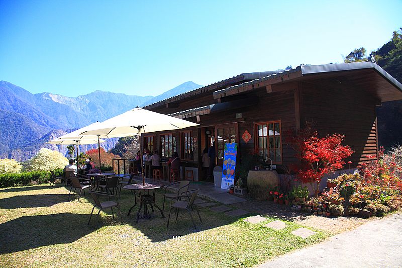 南投梅花推薦【牛稠坑驛站】南投信義鄉梅花秘境，台版琉璃光院