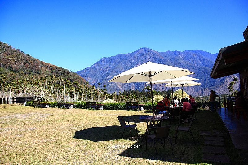 南投梅花推薦【牛稠坑驛站】南投信義鄉梅花秘境，台版琉璃光院