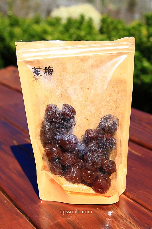 南投梅花推薦【牛稠坑驛站】南投信義鄉梅花秘境，台版琉璃光院