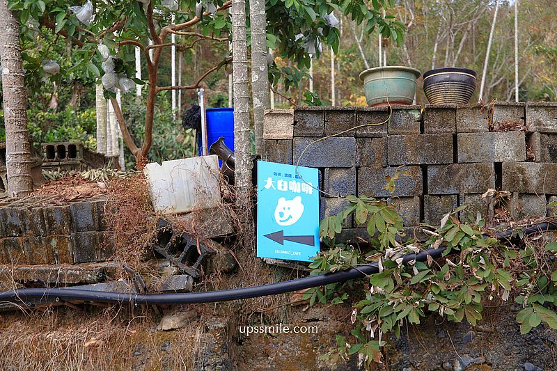 大白咖啡DABAI CAFE，南投魚池秘境咖啡廳，南投老宅改造清水模景觀咖啡廳，好絕美