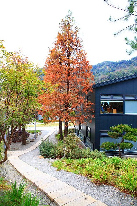 春水堂南投國姓千坪日式森林茶屋景觀咖啡廳【春秋山林】足浴超放鬆 春水堂南投國姓千坪日式森林茶屋景觀咖啡廳【春秋山林】足浴超放鬆