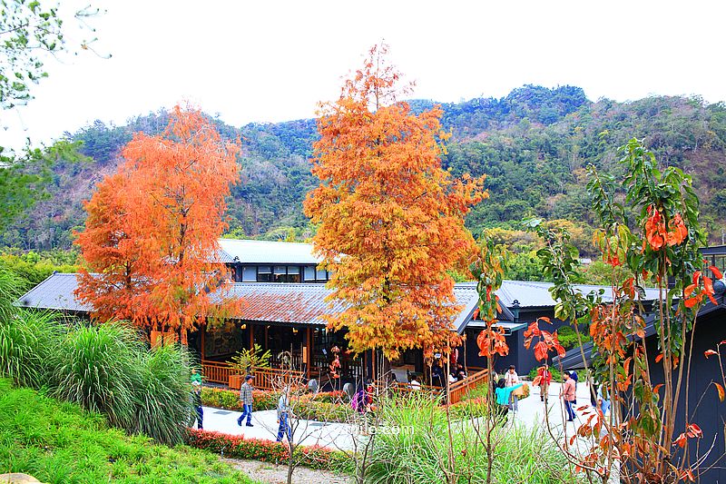 春水堂南投國姓千坪日式森林茶屋景觀咖啡廳【春秋山林】足浴超放鬆 春水堂南投國姓千坪日式森林茶屋景觀咖啡廳【春秋山林】足浴超放鬆