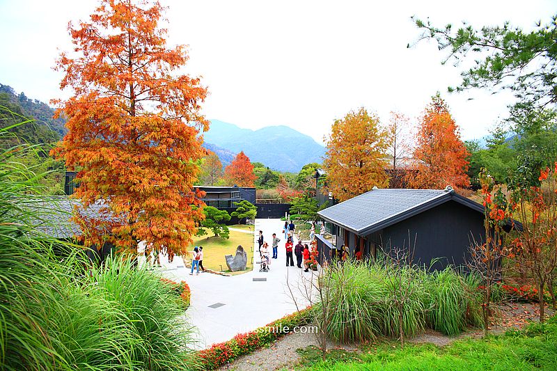 春水堂南投國姓千坪日式森林茶屋景觀咖啡廳【春秋山林】足浴超放鬆 春水堂南投國姓千坪日式森林茶屋景觀咖啡廳【春秋山林】足浴超放鬆