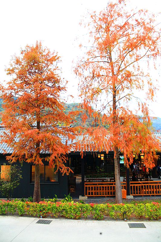 春水堂南投國姓千坪日式森林茶屋景觀咖啡廳【春秋山林】足浴超放鬆 春水堂南投國姓千坪日式森林茶屋景觀咖啡廳【春秋山林】足浴超放鬆