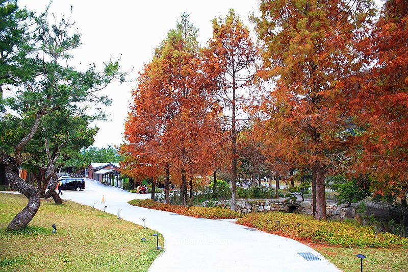 春水堂南投國姓千坪日式森林茶屋景觀咖啡廳【春秋山林】足浴超放鬆 春水堂南投國姓千坪日式森林茶屋景觀咖啡廳【春秋山林】足浴超放鬆