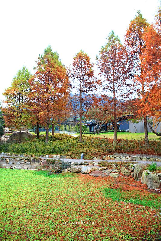 春水堂南投國姓千坪日式森林茶屋景觀咖啡廳【春秋山林】足浴超放鬆 春水堂南投國姓千坪日式森林茶屋景觀咖啡廳【春秋山林】足浴超放鬆